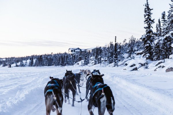 Peut-on réserver une maison de vacances en Norvège avec des excursions en traîneau à chiens et des ateliers de sculpture sur glace?