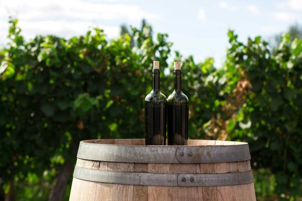 Quels sont les meilleurs endroits pour louer une maison de vacances en Portugal avec des ateliers de fabrication de vin et des visites de caves?