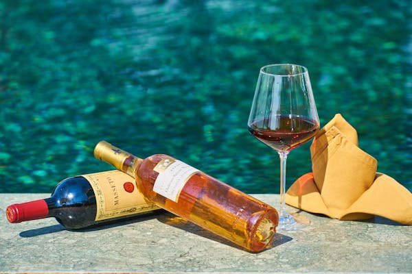 Les vins de la vallée du rhône : l'héritage du domaine martin